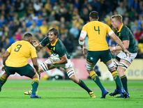 Rugby Championship - Eben Etzebeth (Afrique du Sud) contre l'Australie