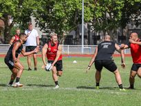 Les Brivistes de Stuart Olding ont repris l’entraînement avec pour objectif de se maintenir en Top 14. Photos Diarmid Courreges