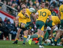 Nic White face à l'Afrique du Sud