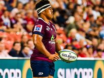 Alex Mafi (Queensland Reds) est sur les tablettes du Stade toulousain