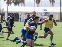 Sous le soleil brûlant de Valence, les Bleus ont eu droit à quatre séances d’entraînement par jour, de 8 heures du matin à 13 heures, à très haute intensité.
