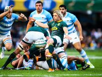 Pour encadrer la jeunesse sud-africaine, le sélectionneur Rassie Erasmus a fait de Faf De Klerk, ici en train de dégager au pied, un nouveau cadre en sélection. Photo Icon Sport