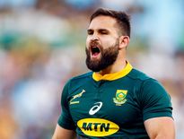 Cobus Reinach avec le maillot des Springboks.