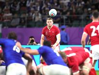 Dan Biggar contre la France