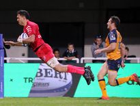 Notamment porté par son deuxième ligne wallaby Rory Arnold, auteur d’un doublé au GGL Stadium samedi, le Stade toulousain s’est envolé vers les quarts de finale de Champions Cup grâce à sa victoire bonifiée. Photo Midi Olympique - Patrick Derewiany