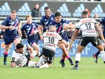 Pablo Matera a fait ses premiers pas en Top 14 à Brive avant la trêve européenne. Le troisième ligne et capitaine des Pumas sera titulaire ce week-end contre Pau à Jean-Bouin.