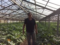 Jean-Charles Orso cultive des légumes en agriculture biologique et écoule essentiellement sa production dans la région provençale. Outre la vente de ses produits aux restaurateurs locaux, il exporte ses fleurs de courgettes dans le monde entier.