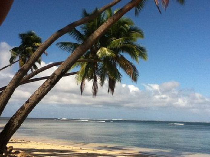 Bula, Napo ! *
