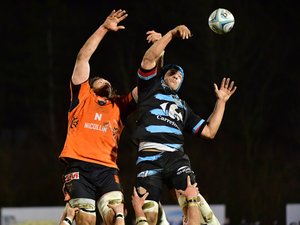 Douze clubs identifiés pour deux montées en Pro D2
