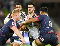 Les Brumbies de Tom Wright remettent leur titre en jeu dès ce week-end, sur la pelouse de la Western Force. Photo Icon Sport