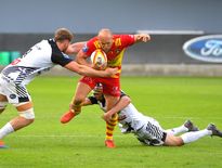 Perpignan et Vannes : demi-finalistes sur la réserve