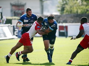 Ces Bayonnais qui vont animer le marché
