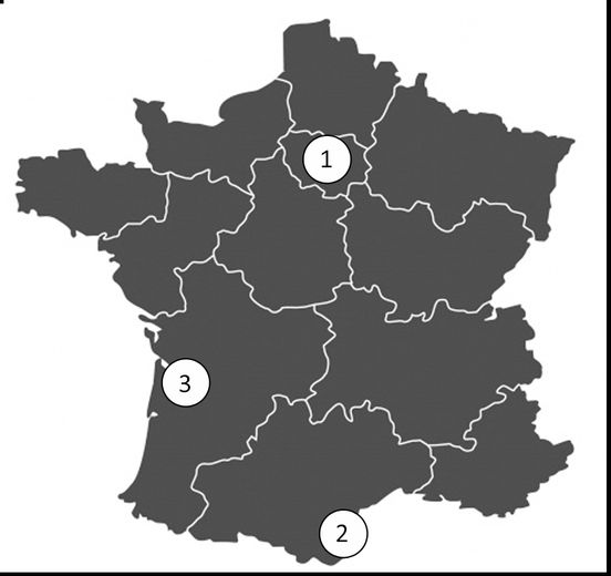 Géographie : les réponses du niveau écoles de rugby