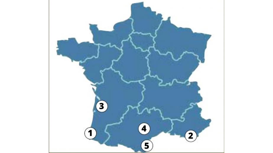 Carte niveau Juniors