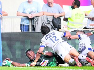 La Section paloise toujours en plein chantier offensif