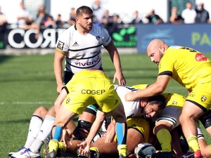 Top 14 - À Brive, les Rochelais étaient les maîtres du sol