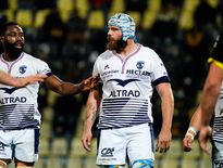 Mickaël Capelli va avoir l’occasion de s’exprimer en profitant de l’absence de Paul Willemse. Photo Icon Sport