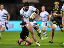 Battus à l’aller, les Vannetais de Rodrigo Bruni veulent prendre leur revanche et recoller aux Carcassonnais. Photo Icon Sport