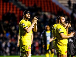Champions Cup - Rémi Picquette (La Rochelle) : « Être polyvalent au maximum »