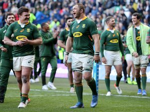 Mondial 2023 - Les Springboks auront Toulon et Mayol pour camp de base