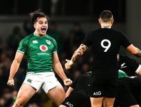 Les Irlandais avaient battu les All Blacks en novembre. Photo Icon Sport