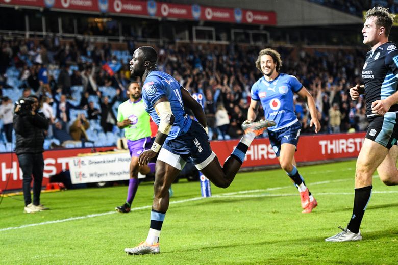 Transferts - Madosh Tambwe (Bulls) va rejoindre Bordeaux-Bègles