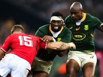 Les Springboks, menés par Siya Kolisi et vainqueurs de leur série face aux Gallois en juillet, partent favoris de ce Rugby Championship.