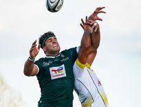 Luke Whitelock (Pau)