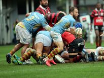 Après dix années sous les couleurs de l’Usap, le demi de mêlée Tom Ecochard s’est rendu indispensable au staff perpignanais. Samedi il devra réaliser une performance identique au week-end dernier.