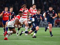 Test match - Le demi de mêlée Baptiste Serin (XV de France) lors du match nul face au Japon