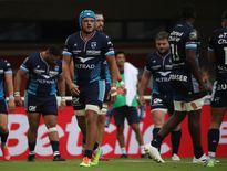 Zach Mercer et les Montpelliérains vont devoir composer avec beaucoup d’absences pour gérer ce match face aux London Irish. Photo Midi Olympique - Patrick Derewiany
